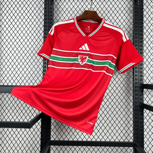 Maillot Pays de Galles Domicile Coupe du Monde 2026