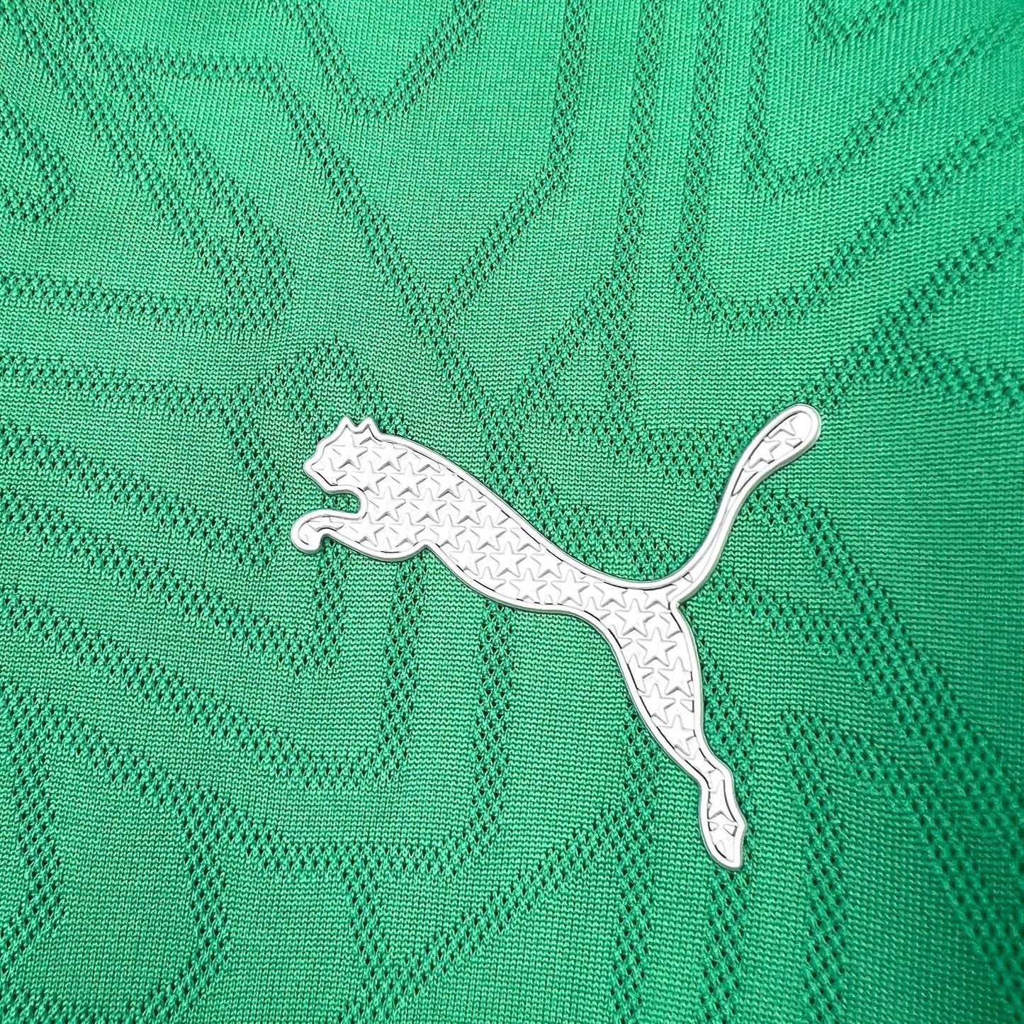 Maillot Pré Match Palmeiras 2025/2026